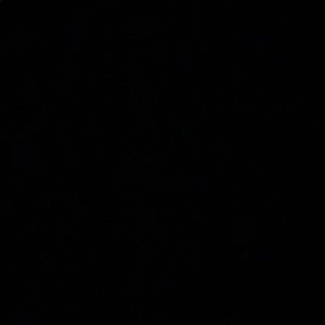 Meet your Posher, Lorin